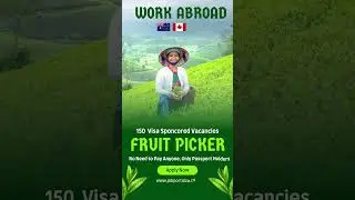 🌍 Work Abroad Opportunity! 150 Visa-Sponsored Fruit Picker Jobs in Canada & Australia! 🌍