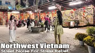Explore the ethnic minority market in northwest Vietnam | Vina Walking Street