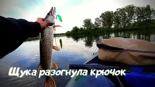 Щука разогнула крючок/Поппер и неогруженный силикон/Daiwa Ninja X SF 743LFS