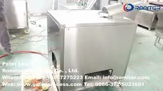 Auto Feeding Small Onion Peeling Machine 2021-How to Peel Onion