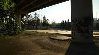 Evening ambience under the overpass | Urban birds & distant traffic