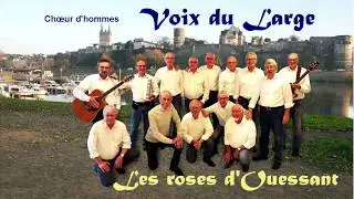 Les roses d'Ouessant