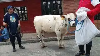 Gutiérrez Cundinamarca, cordial invitación a conocer Gutiérrez.