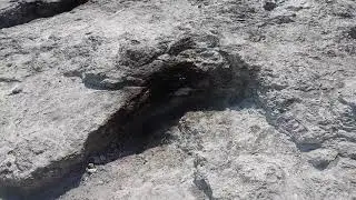 20170917 133516