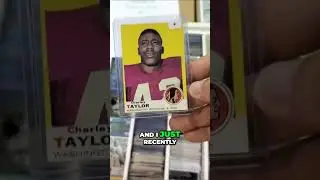 Hidden Treasure - Unearthing Bargain Cards at Dollar Box Alley!