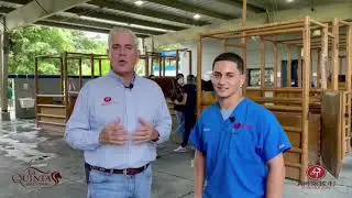 Como vendar las patas de tu Caballo! Desde el #HipodromoCamarero!