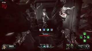 Cod Bo4 Unlocking diamond assault rifles