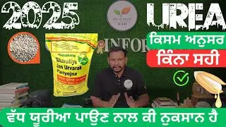ਝੋਨੇ ਦੀ ਕਿਸਮ ਅਨੁਸਾਰ ਯੂਰੀਆ ਪਾਓ ● Nitrogen management in rice crop as per variety duration.