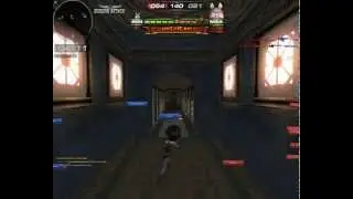 pet64