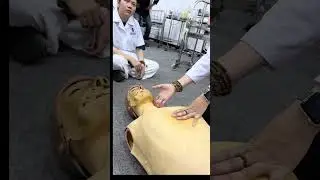 DDCB & CCBĐ. Tập 2: Hồi sinh tim phổi (CPR) cấp cứu ngừng tuần ho&agrave;n