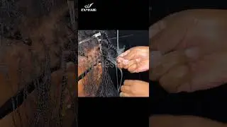 Micro Loc Extensions Tutorial with Extensions #braids #locs #naturalhair #hairstyle #curlyhair #hair