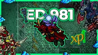 ED 981 Hunt Solo Summer Court 6kk/h + 1.6kk Profit (Rapid respawn) - Tibia Hunt #tibia #tibiahunt