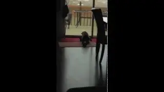 Ron Sandack Catfight Caught on Tape