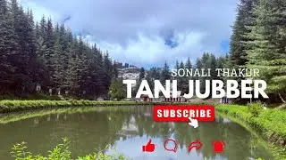 Tani Jubber :- best picnic spot near Narkanda || Himachal Pradesh 
