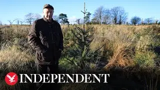 'Eco-champion' pensioner celebrated for transforming disused Antrim land with 20,000 trees