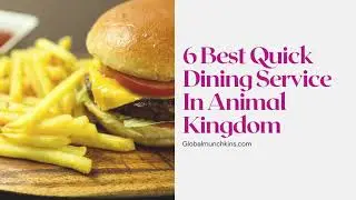 WE BROKE DOWN THE TOP 6 BEST ANIMAL KINGDOM QUICK SERVICE DINING OPTIONS!