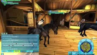 Buying the new Morgan horse!