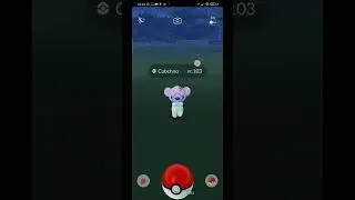 Cubchoo shiny | Pok&eacute;mon Go