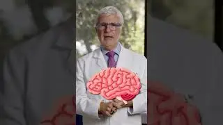 Какие добавки принимает доктор Гандри?