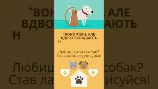 #FunnyPets #PetsLife #CatsAndDogsTogether #FunnyAnimals2025 #CutePetsCompilation #ТвариниНаYouTube