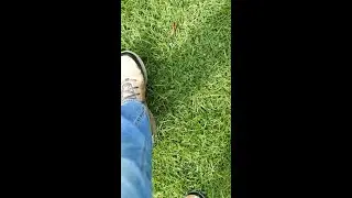 Your drain field is the quiet hero of your septic system.