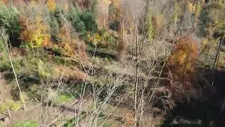 Kellerberg im Herbst🍂