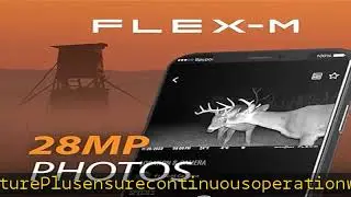 SPYPOINT Flex-M Twin Pack Cellular Trail Cameras - Best Hunting Accessories, No WiFi Needed, GPS, N