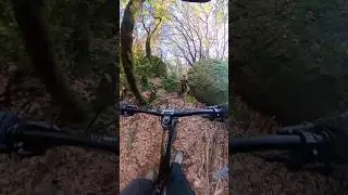 En roue libre au Bourdelles | Part 4 #mtblife #insta360 #enduro #vtt #mtb #shorts