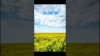 Sureh Muzammil | Urdu translation | Al Qur'an islamic knowledge