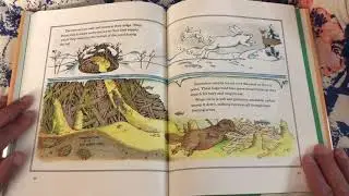 Read Aloud Nature: Crinkleroot's Guide to Animal Tracking by Jim Arnosky