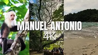 Walking Manuel Antonio National Park | Wildlife & Rainforest Tour 4K