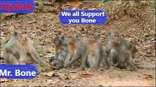 Update Amari troop, Member's Amari troop like Mr. Bone lead troop, They dislike Sankra