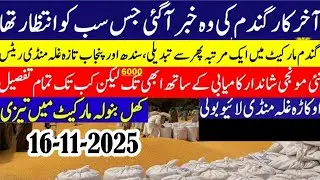 Today Wheat price in punjab//گندم کا ریٹ 2025/munji makki till sarso/Galla mandi rate today