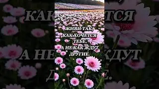 Согласны?🤔#отношение #психология #жизнь #ценитежизнь #личность #beziehung #liebe #motivation #shorts