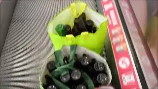 Бутылки без этикеток продаются в автомате по продаже бутылок