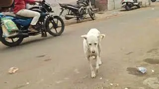 Ap Blog/ / va kya maal hai bhai 
