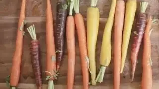 Baby Food | Carrot & Mango Puree