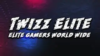 Twizz Gamers & Twizz ELITE ( Whats happening with the channel )