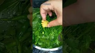 khatti palak ki Chatni #shorts #chatni #shortsfeed