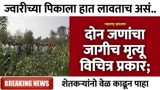 ज्वारीच्या पिकाला हात लावताच असं.. | Gramin Te Digital 