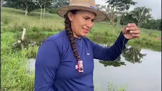 ELAS ATACARAM COM VONTADE, PESCARIA CAIPIRA 🎣