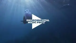ENVIRONMENTAL MUSIC PRIZE // Concept
