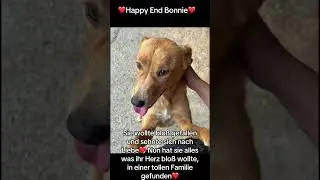 Happy End Bonnie❤️