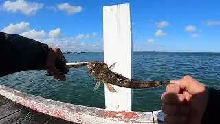Port Albert fishing