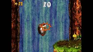 Rocket Barrel Ride Bonus & DK Coins DKC3
