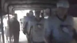 penguins leaving ice