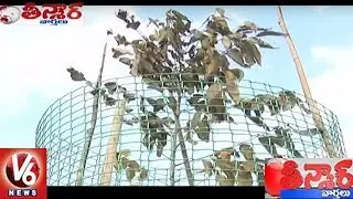 CM KCR Planted Sapling In Karimnagar Dries Up | Haritha Haram | Teenmaar News | V6 News