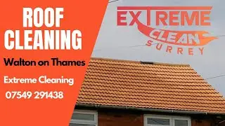 Roof Cleaning in Walton on Thames - Roof Moss Removal and Biocide Treatment