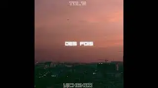 TDL'S FEAT VICHENZO - Des fois