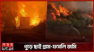 স্পেন, পর্তুগাল ও সিরিয়ায় ছড়িয়ে পড়েছে ভয়াবহ দাবানল | Portugal | Wildfires | Spain | Syria